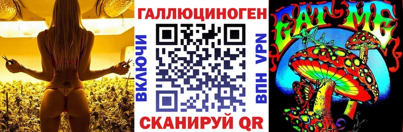 Псилоцибиновые грибы Cubensis  даркнет сайт  darknet наркотические препараты  Верхоянск 